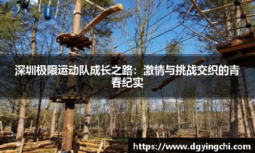 bsports登录入口